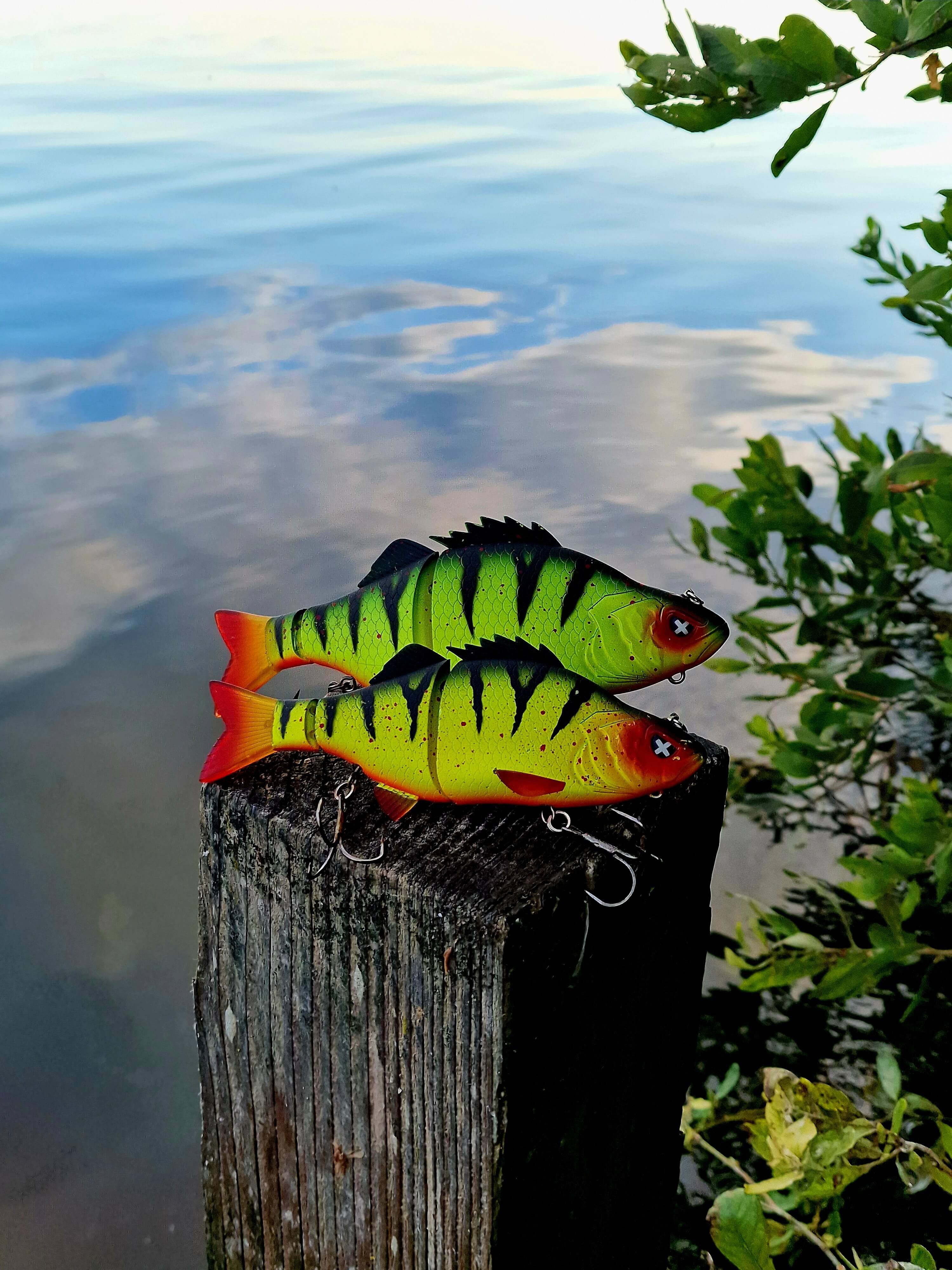 Monkey Lures Purge Glider (Story)