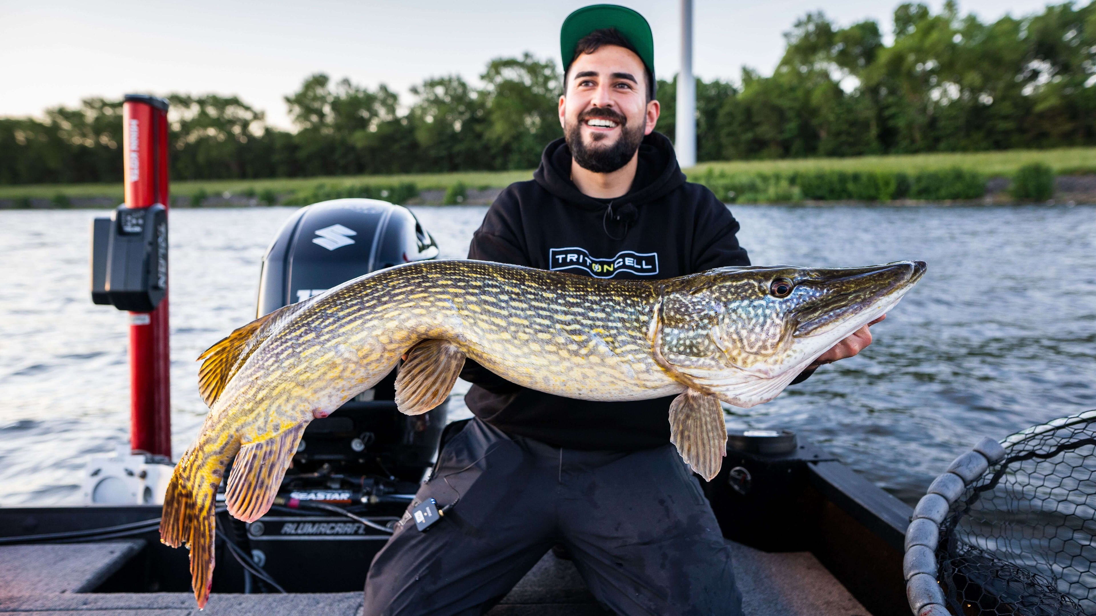 Monkey Lures Big L Fangbild