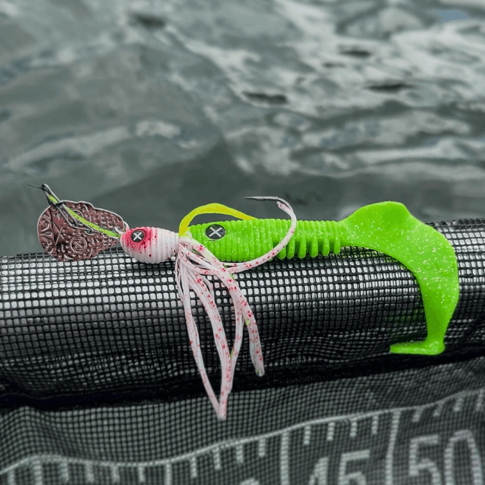 Monkey Lures Curly Lui