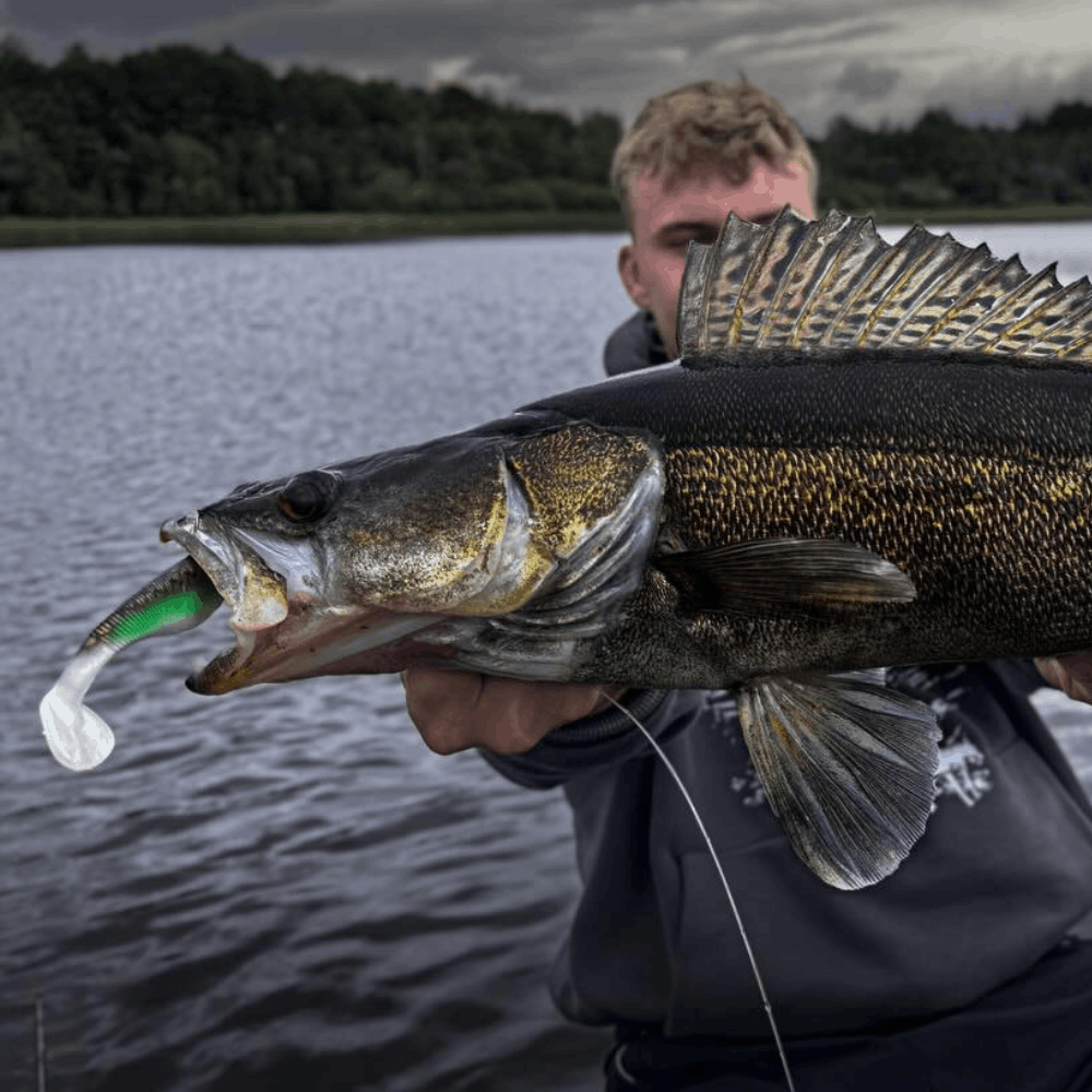 Monkey Lures Fat Lui