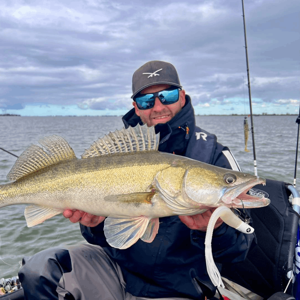 Monkey Lures Hairy Lui