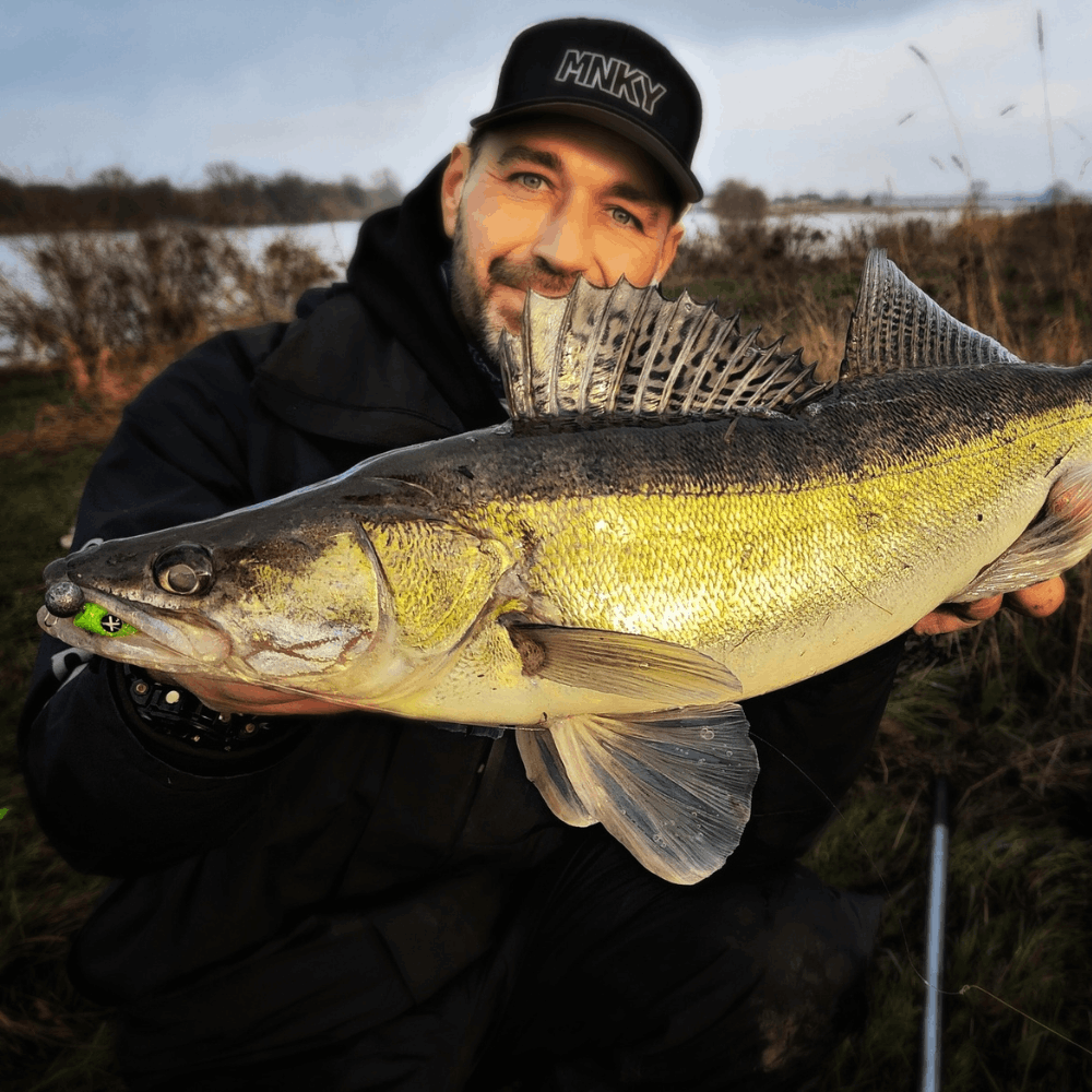 Monkey Lures King Lui