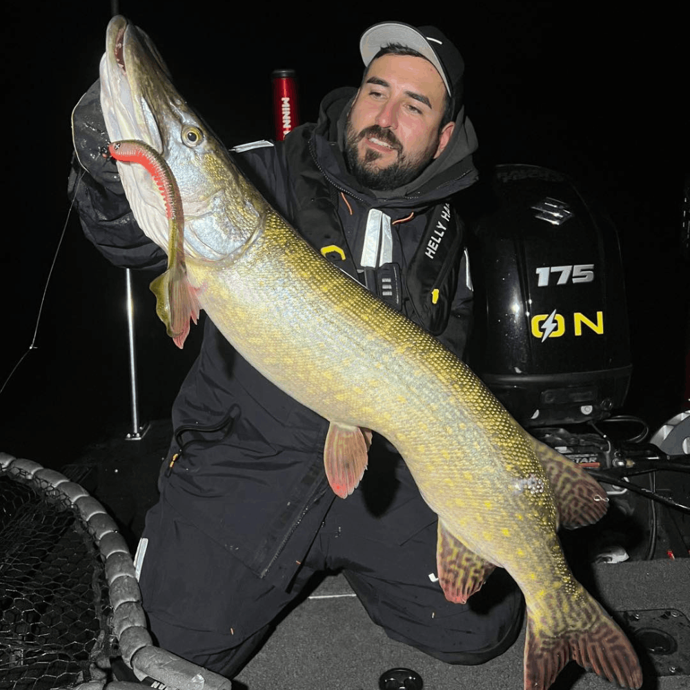 Monkey Lures Loopy Lui