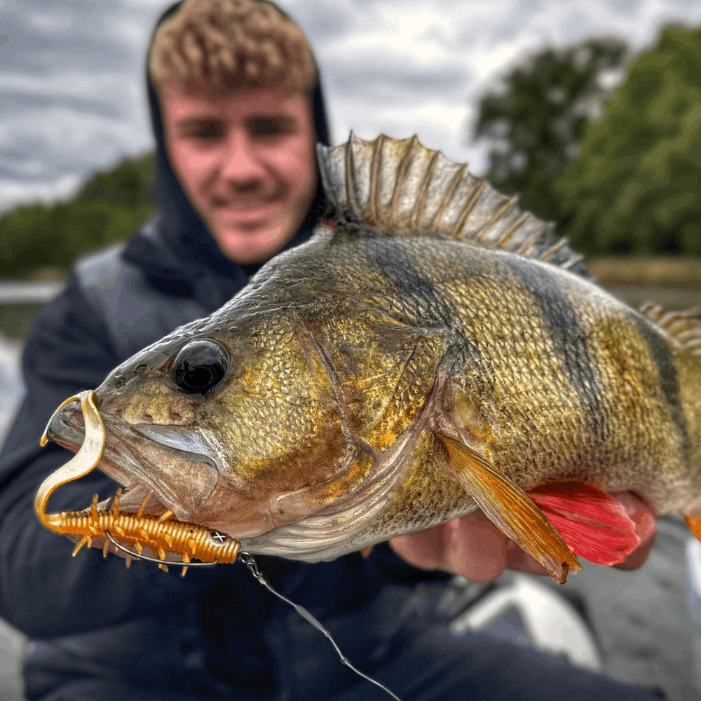 Monkey Lures Scorpion Lui 