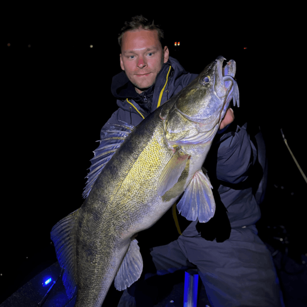 Monkey Lures Stalking Lui