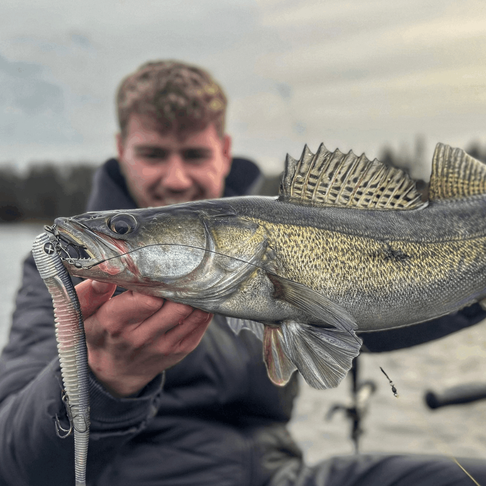 Monkey Lures Stalking Lui