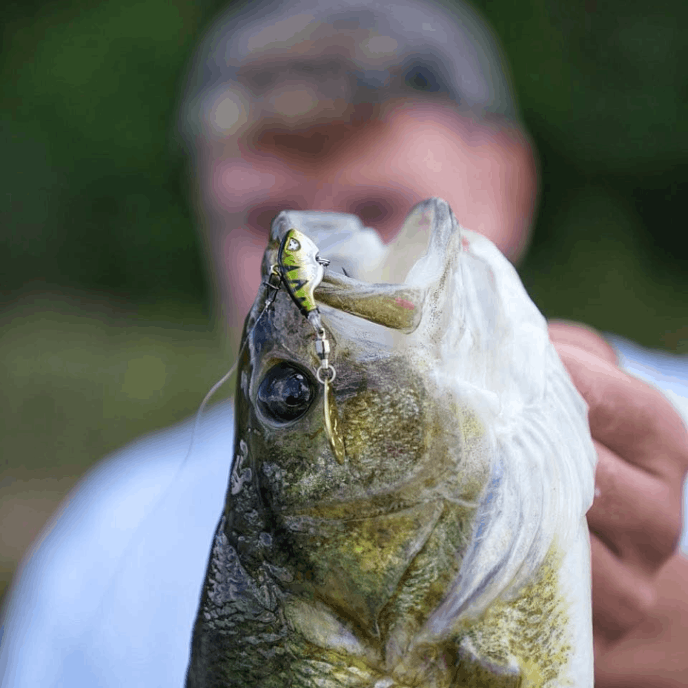 Monkey Lures Turbo Lui